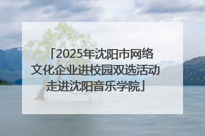2025年沈阳市网络文化企业进校园双选活动走进沈阳音乐学院