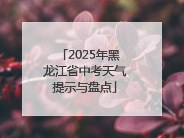 2025年黑龙江省中考天气提示与盘点