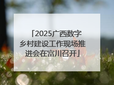 2025广西数字乡村建设工作现场推进会在富川召开