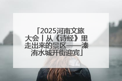 2025河南文旅大会丨从《诗经》里走出来的景区——溱洧水城开街迎宾