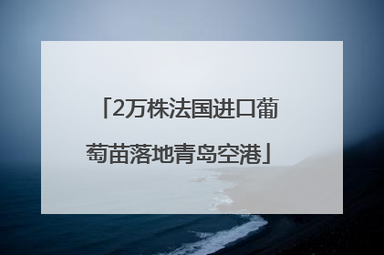 2万株法国进口葡萄苗落地青岛空港