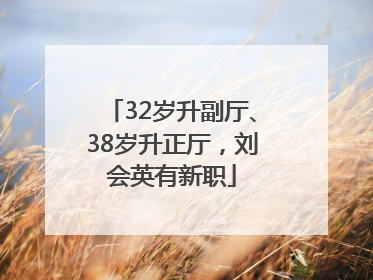 32岁升副厅、38岁升正厅，刘会英有新职