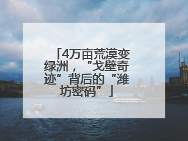4万亩荒漠变绿洲，“戈壁奇迹”背后的“潍坊密码”