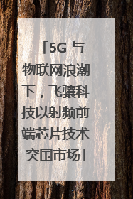 5G 与物联网浪潮下，飞骧科技以射频前端芯片技术突围市场