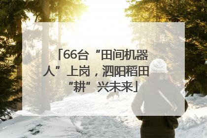 66台“田间机器人”上岗，泗阳稻田“耕”兴未来