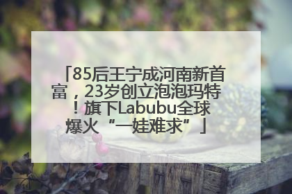 85后王宁成河南新首富，23岁创立泡泡玛特！旗下Labubu全球爆火“一娃难求”