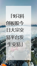 9只科创板股今日大宗交易平台发生交易