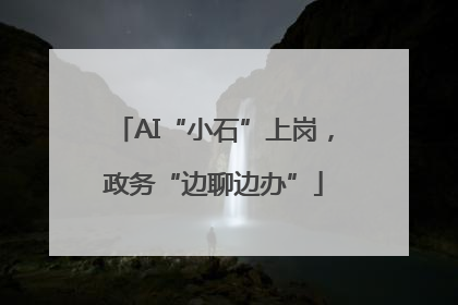 AI“小石”上岗，政务“边聊边办”