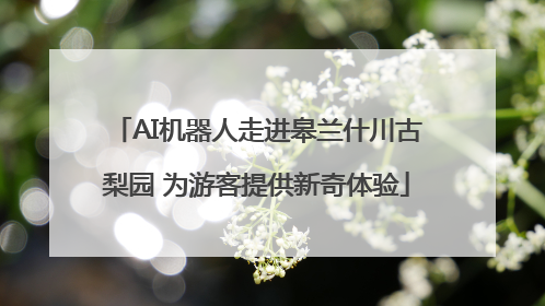AI机器人走进皋兰什川古梨园 为游客提供新奇体验