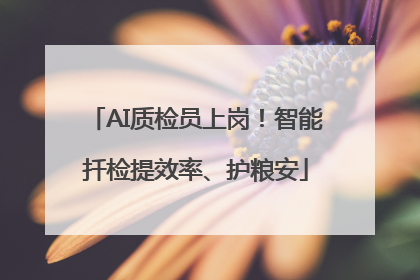 AI质检员上岗！智能扦检提效率、护粮安