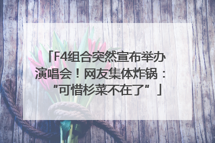 F4组合突然宣布举办演唱会！网友集体炸锅：“可惜杉菜不在了”