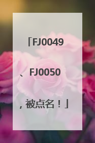 FJ0049、FJ0050，被点名！