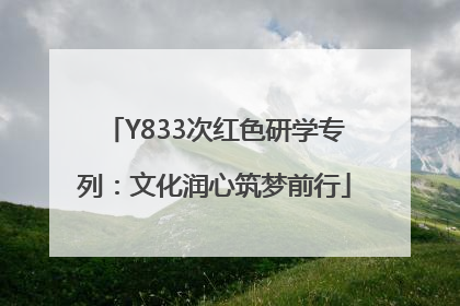Y833次红色研学专列：文化润心筑梦前行